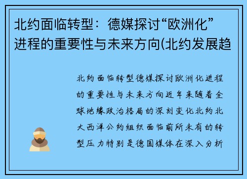 北约面临转型：德媒探讨“欧洲化”进程的重要性与未来方向(北约发展趋势)