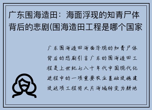 广东围海造田：海面浮现的知青尸体背后的悲剧(围海造田工程是哪个国家)