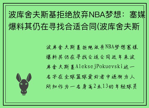 波库舍夫斯基拒绝放弃NBA梦想：塞媒爆料其仍在寻找合适合同(波库舍夫斯基姐姐)